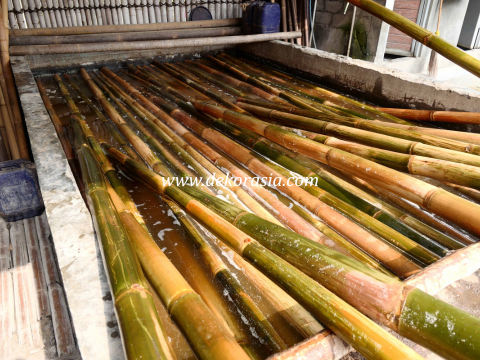 Treatment Bamboo Poles - Image 4